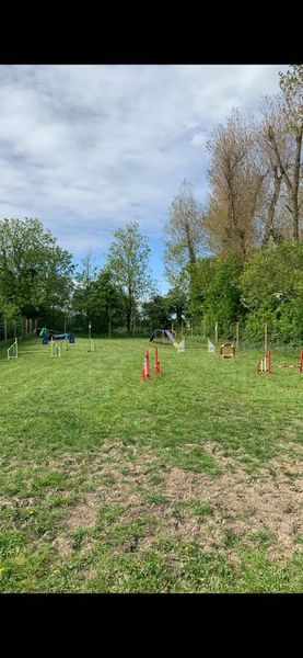 1739 4439ca1de911cfca6d96e197c9df7419 1