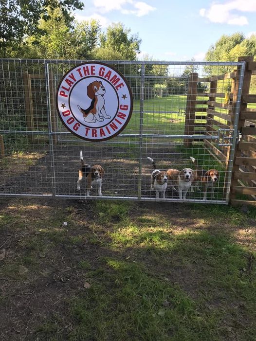 1739 558d4d7c475ce06748660e31f64efd59 1