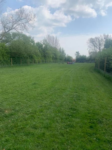 1739 f6dc4ee41caf715f8ba5932666862d6f 1