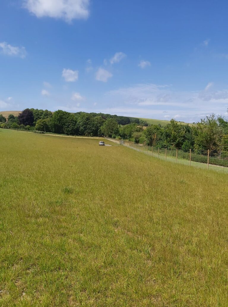 1740 294e897e10f348a0b59dcd68add2210f 1 768x1032