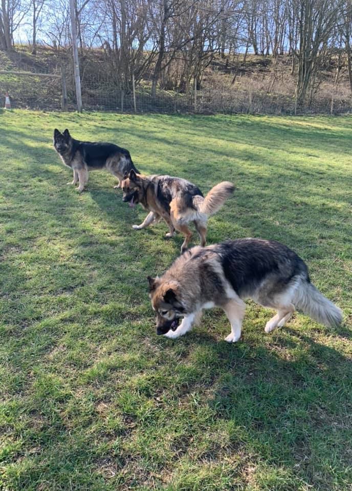 1740 2c6434f47df294b2a6fd80a5446b25af 1