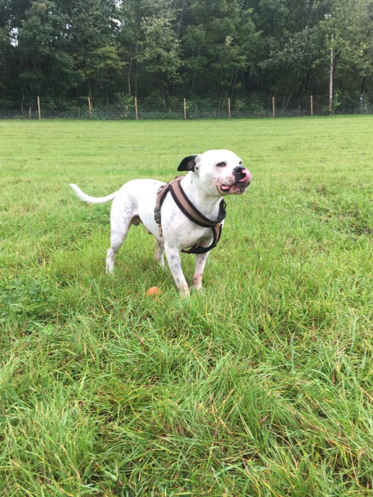 1740 2f73d3d4cfc975b8beb2a55a3cf0c3f9 1 768x1024