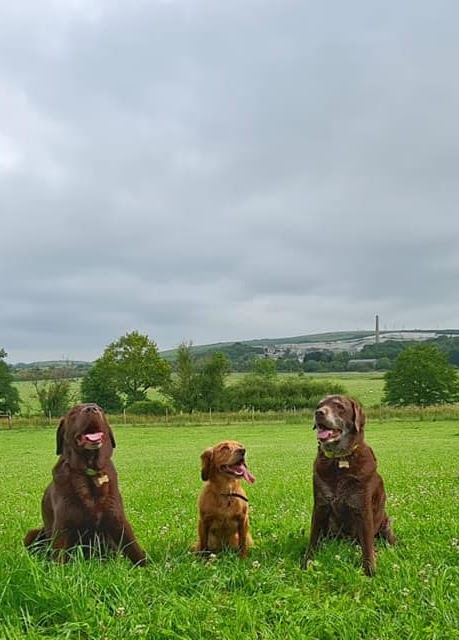 1740 4cd54517dbae92e5ae7c940e9307576c 1