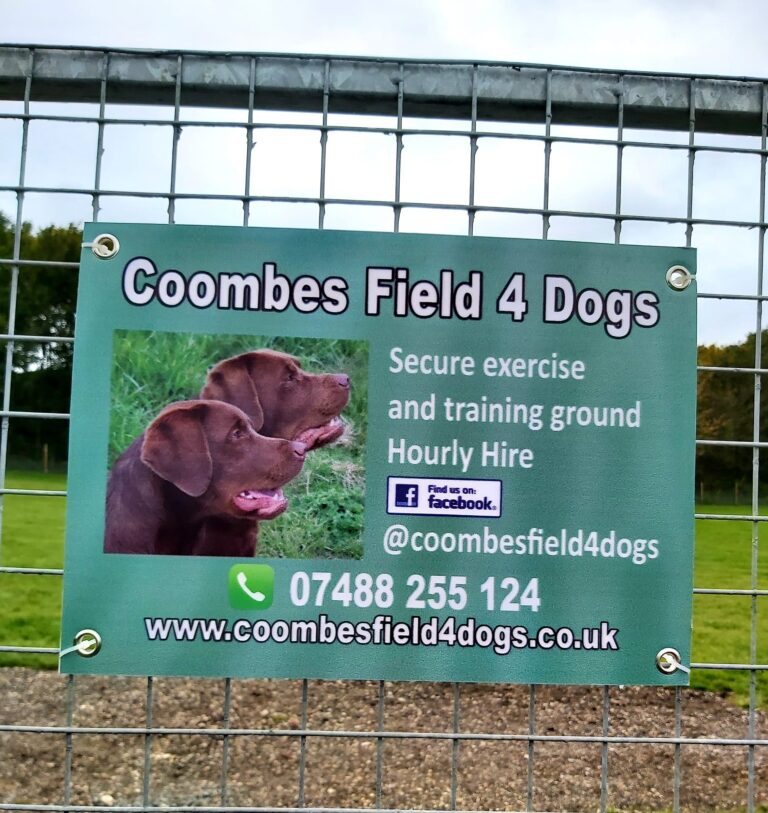 1740 7efdd7fbbf65477da629ff233fad59e0 1 768x813