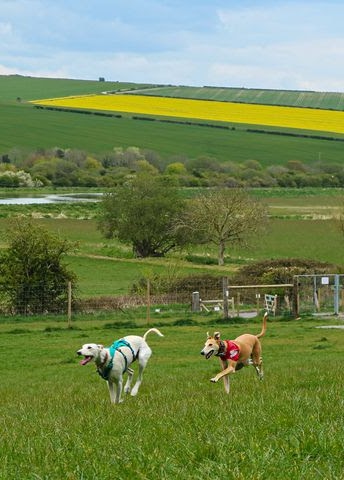 1740 899e5e50e4061cf22eb166c92fca19a5 1