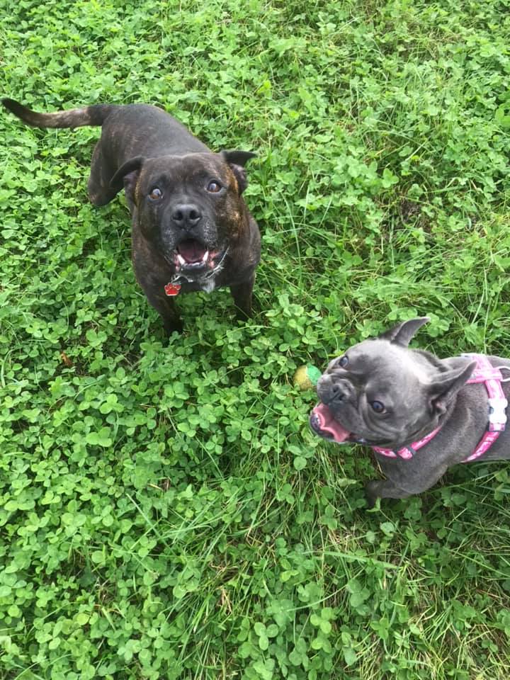 1740 9fa45fd0f1cb49778a5495849f46ef0a 1