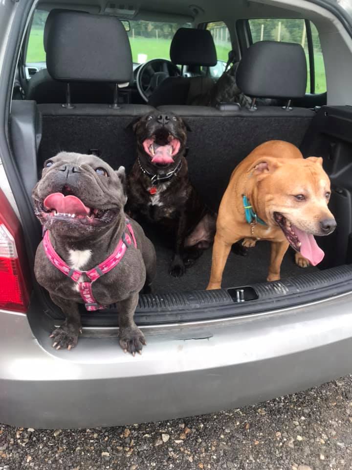 1740 a063e8717e361ecc52d17f5f372bf944 1