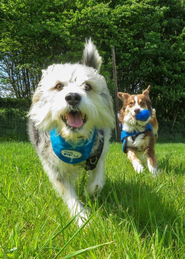 1740 beb1db964f36a5e4d6c5032904ae79f7 1 768x1071