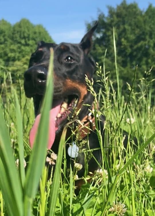 1740 cac6e11bee5df4b0a111008a6f2b277e 1