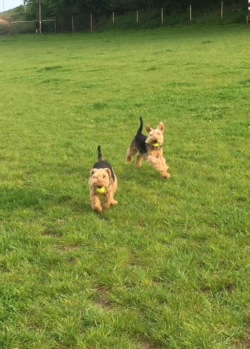 1740 d2085c04c7cbf1a54a9766c1a1b20f32 1