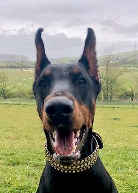 1740 e1f1d2d57bdd51875afd76ae0e7e8410 1