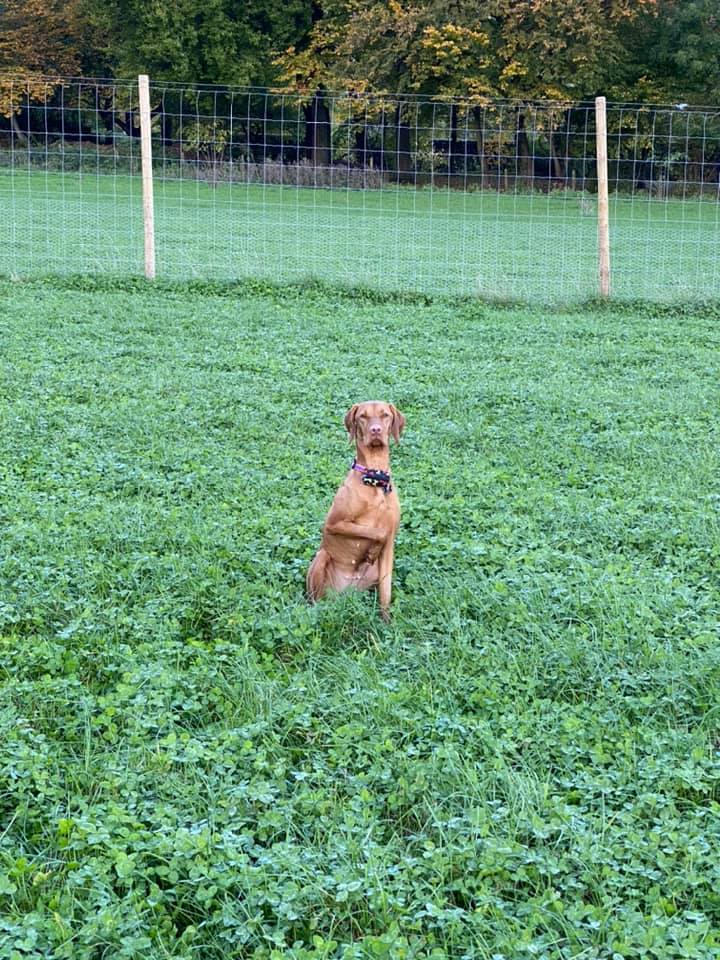 1740 f861de6310aaf9939274ed9412b497cb 1