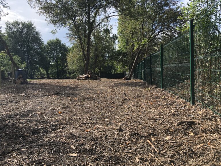 1742 3719bd268a80404d7f56f66a1e42c89f 1 768x576