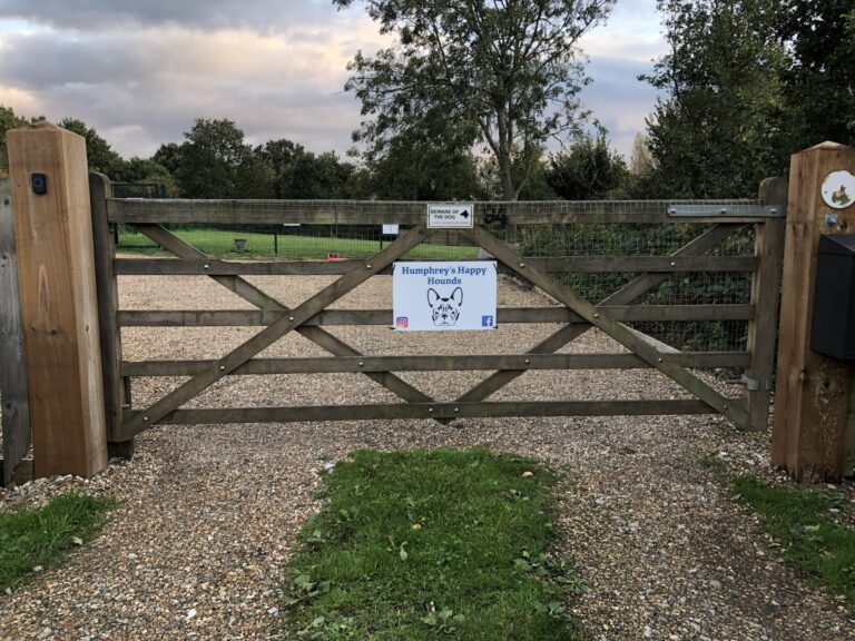 1742 390afaacff761c7e016fad22f62aff25 1 scaled 768x576