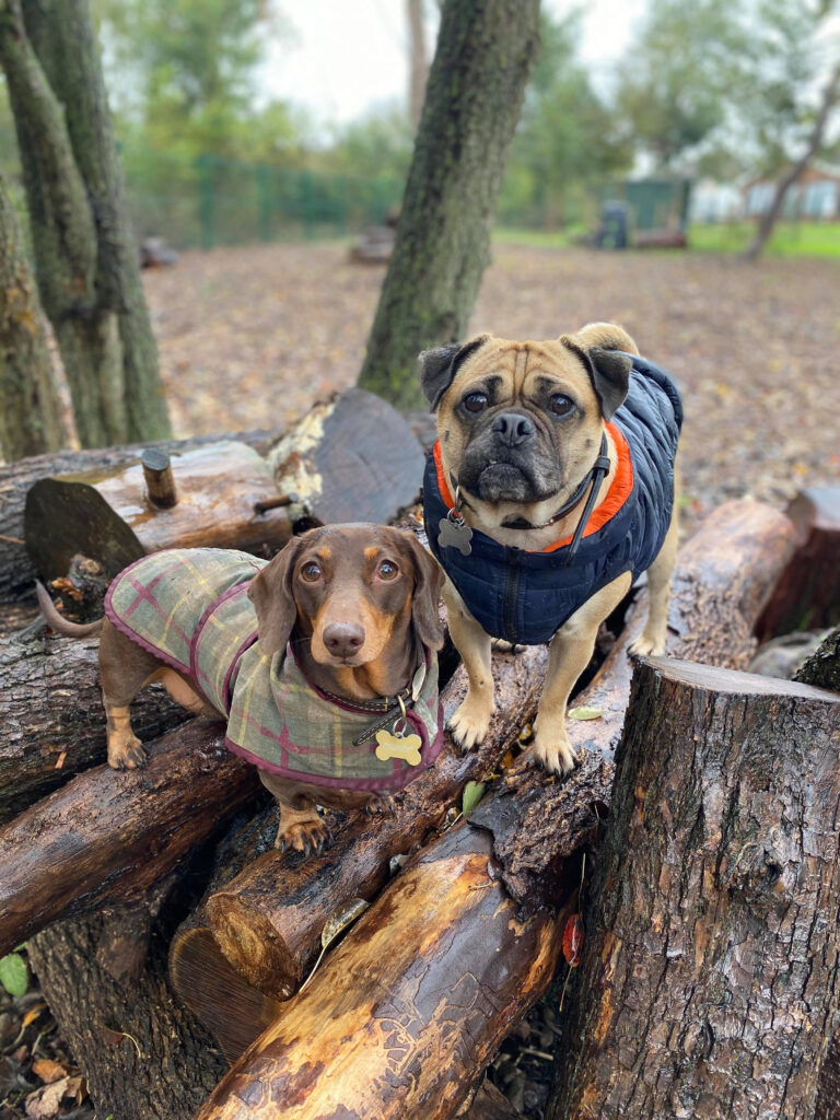 1742 3cf60cbfb2bc438159c0100ff14e94d1 1 768x1024