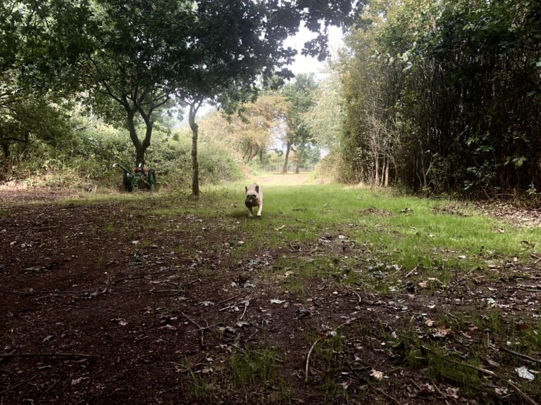 1742 5e871de6b3d217feb4d62b31c5ddb79e 1 768x576