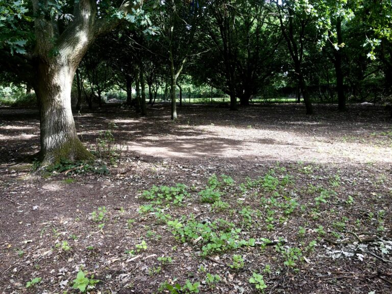 1742 72b0735f2ef884a2789258798853e41a 1 768x576