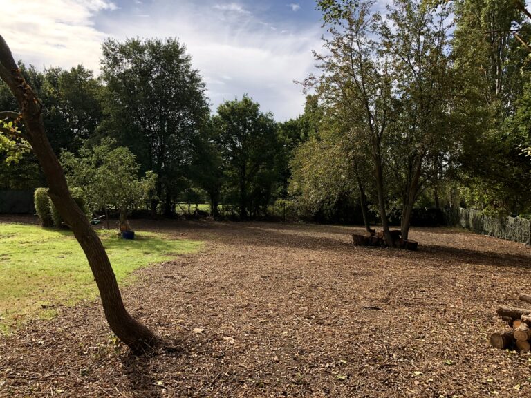 1742 84578e1b1c563f0be8abc0d81d055542 1 768x576