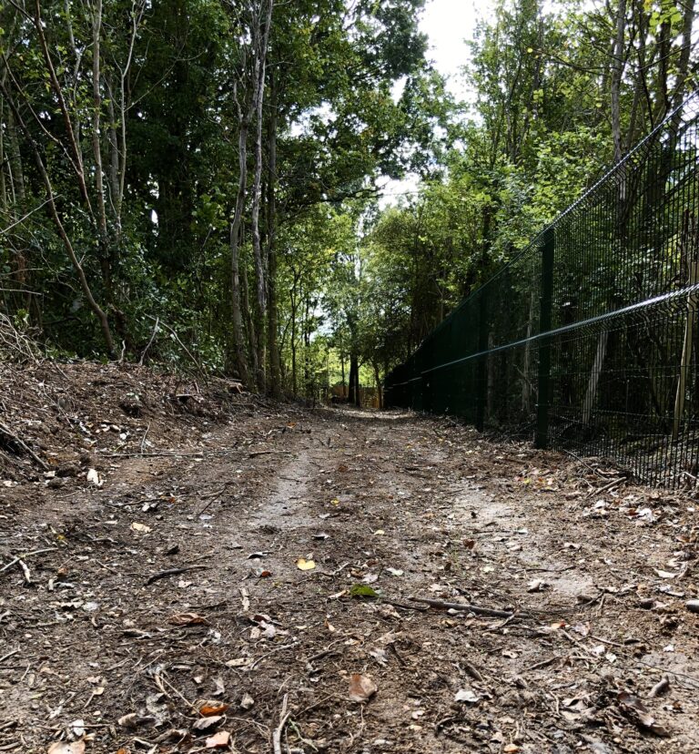 1742 85ede9b02cadb025beffe51461a50af8 1 768x828