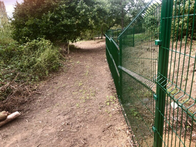 1742 862d9c7fd70cdb02d6371b25a025dc2b 1 768x576