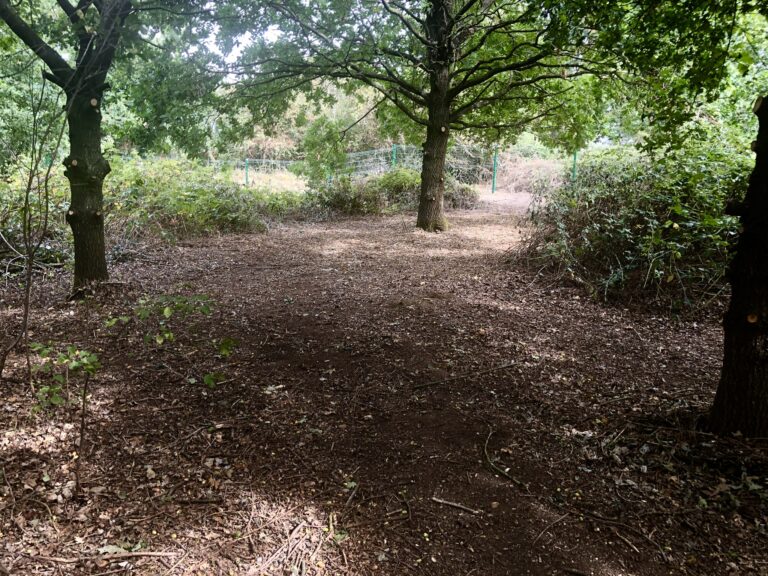 1742 86595165a8e29b27fea9a86ca9c6352a 1 768x576