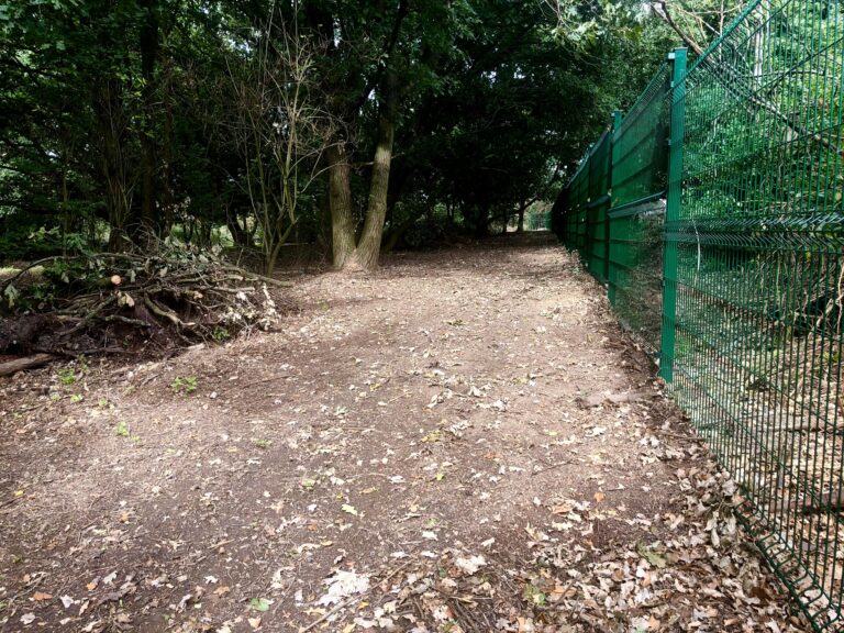 1742 b4db8f3d0d6f1052ae618ed17264eb4b 1 768x576