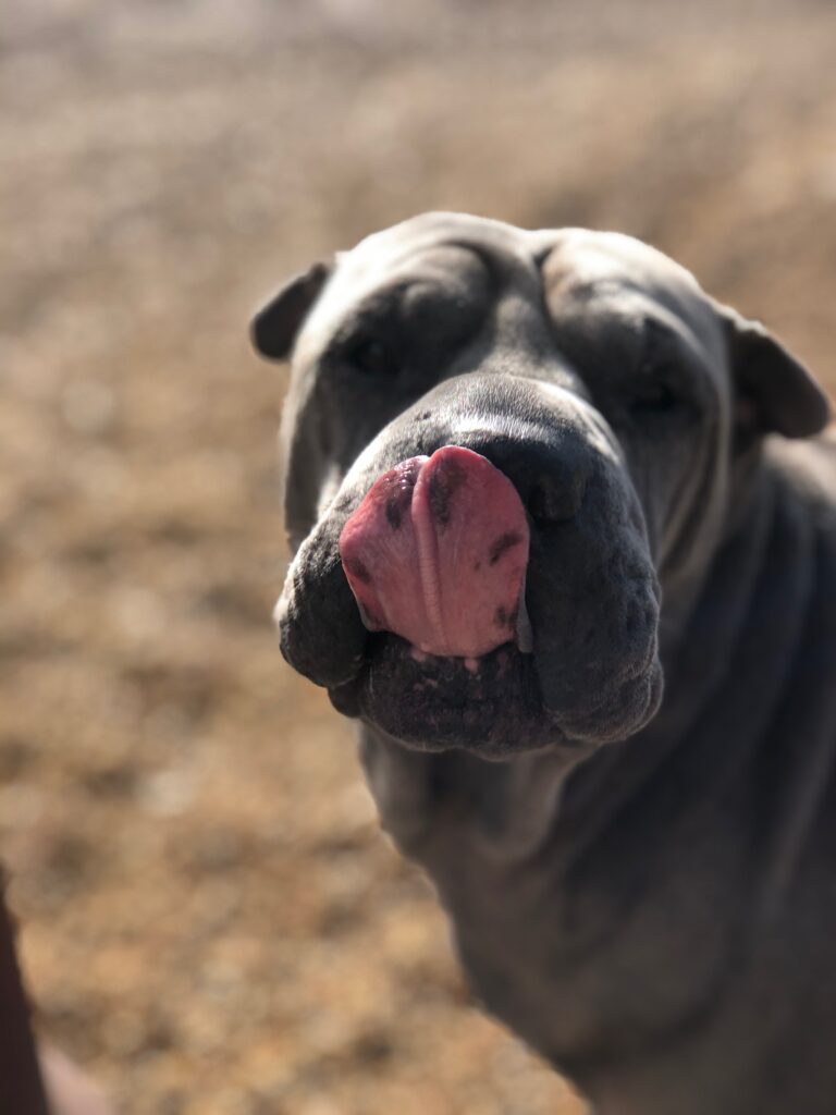 1742 d91f40917a5c63756f1975eea217ee3d 1 768x1024