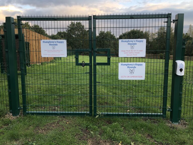 1742 f44ead577369d790b203fb878938bb2f 1 768x576