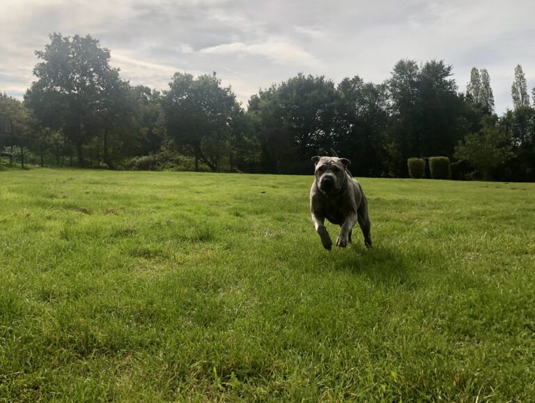 1742 fcb340f83e49878083b7772f9c0cde57 1 768x578