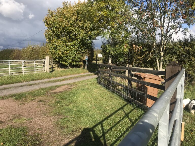 1743 cad7ca7a4a5a8dc90e2f37d66842b56c 1 768x576