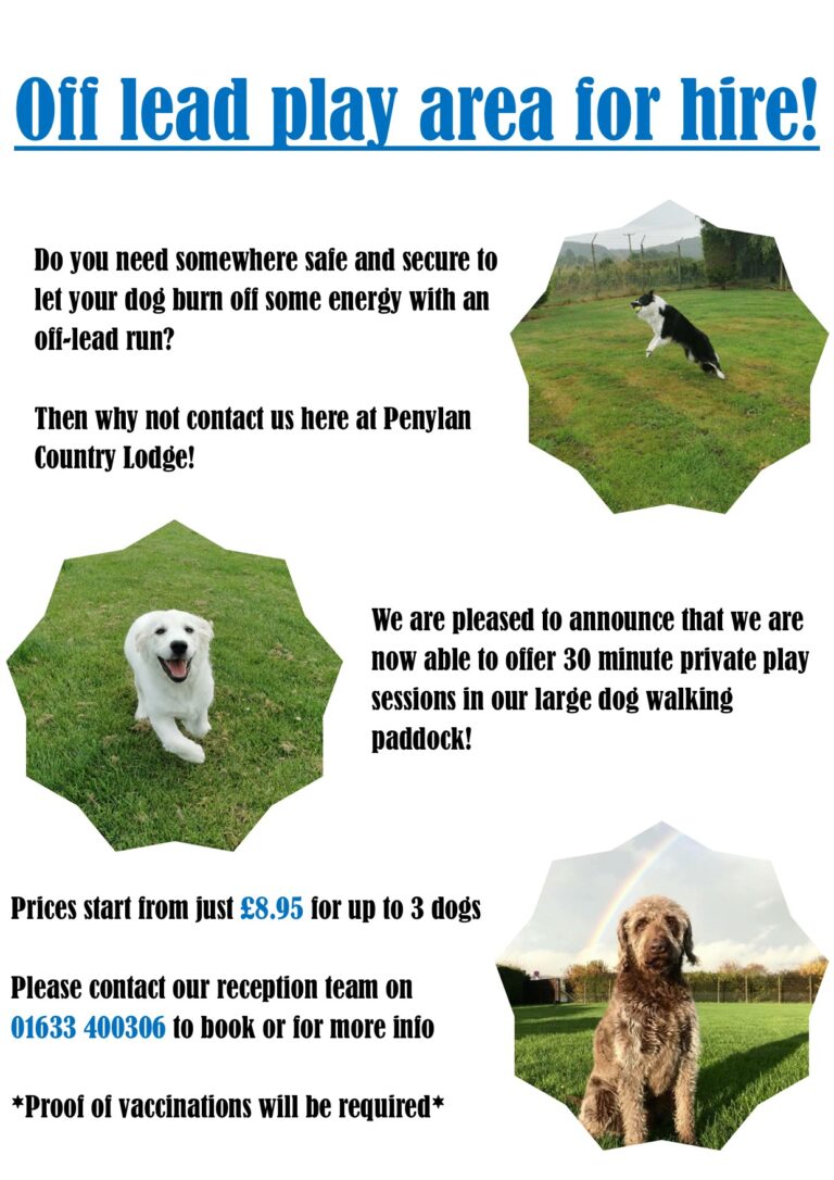 1746 203525c5ffaf79eb5cca7048fb7e52e1 1 768x1086