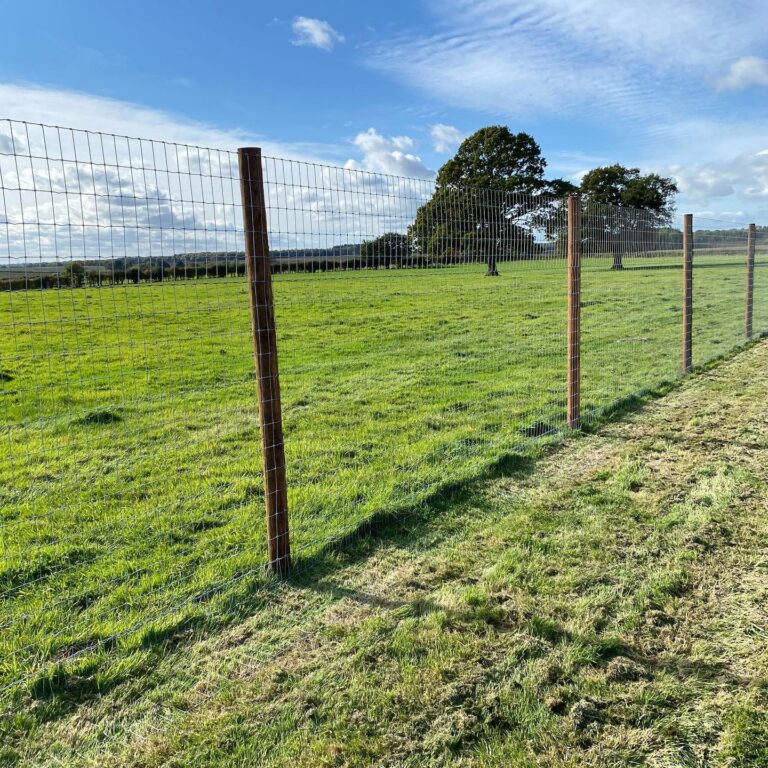 1748 d1bc22577e4cbb1eb049a1affb5a7361 1 768x768