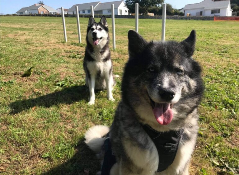 1749 0b94467b56416f39f478b3a7ce5a2187 1 768x562