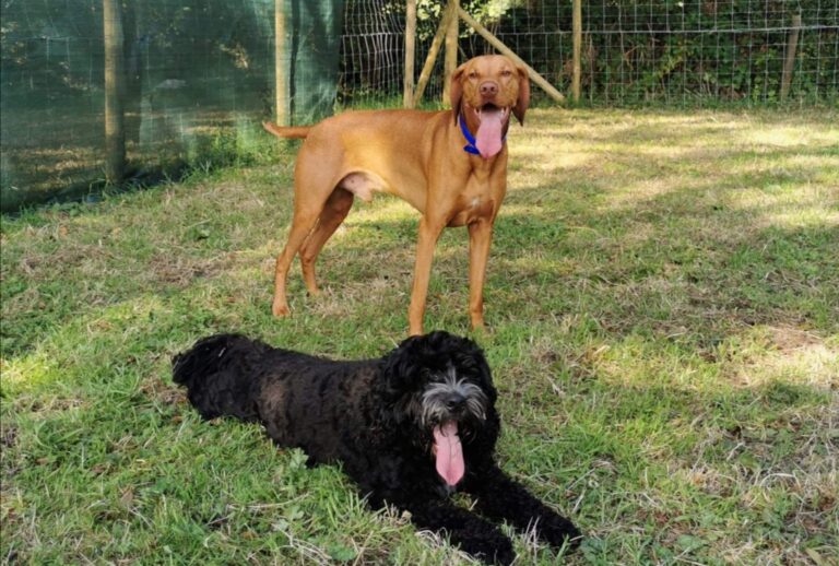 1749 120c9d4e2eeac52b0c7f722ee4283149 1 768x518