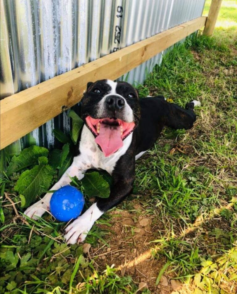 1749 226f73025f215f07e2541c902f8f7296 1 768x953