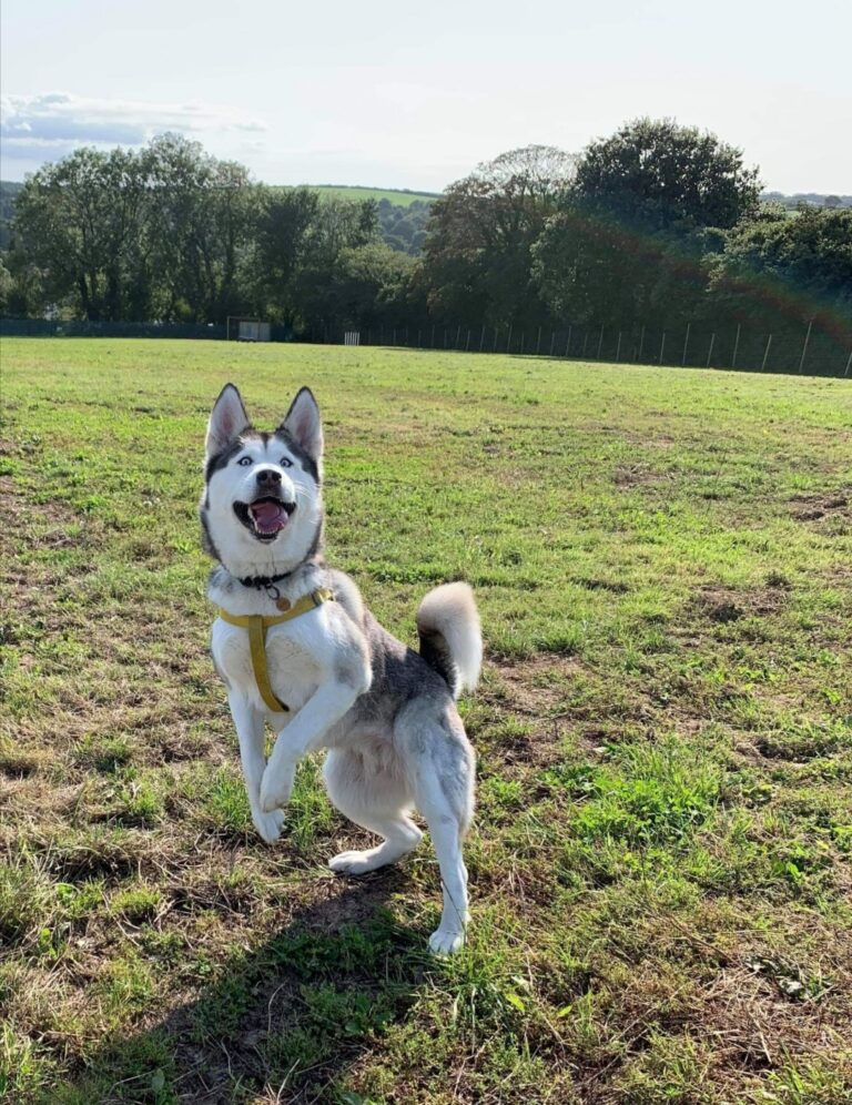 1749 345c3e61d83c8debd084c26e27ed64fa 1 768x996