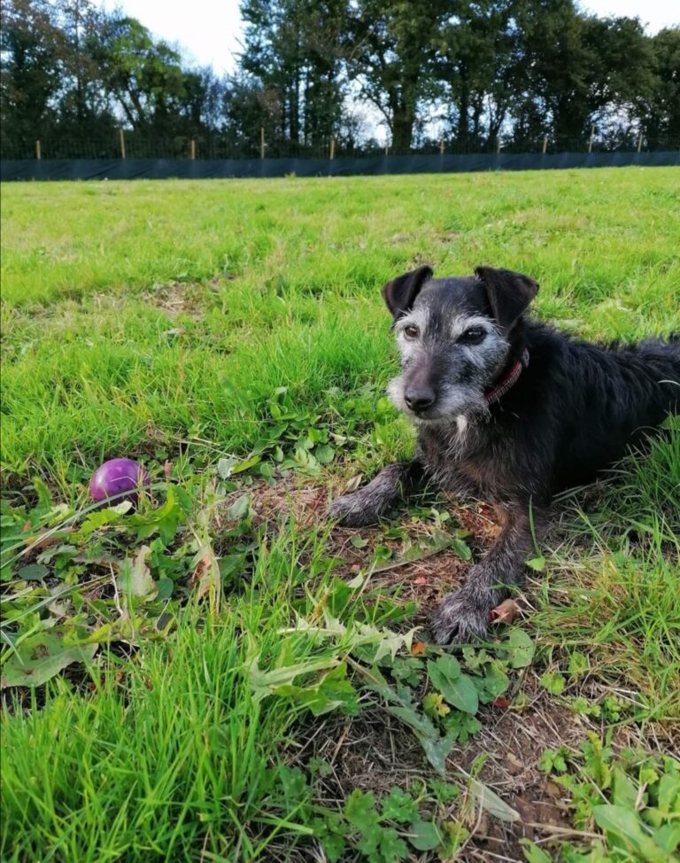 1749 81fdd2d27204ec62b279ca731aea922d 1 768x974