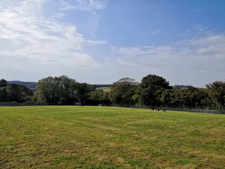 1749 e6db87bdf428e160d97c0c486cee3e17 1 768x576