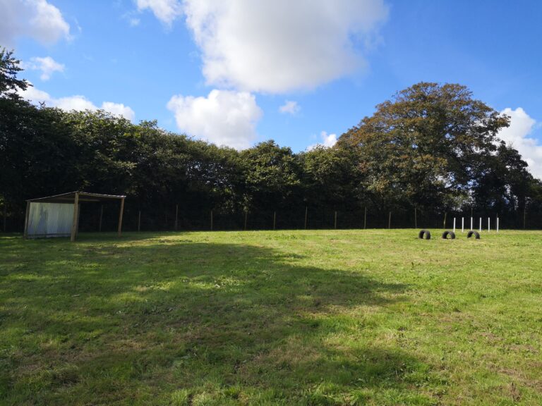 1749 eca30ef69000605a325f20a5fe4f1541 1 768x576