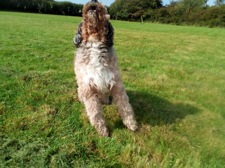 1750 fc1166d1c8edbdff169d35a58b7954bb 1 768x576