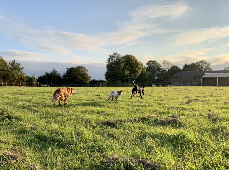 1754 1b3b07a21b75ff01ce747d442360e23f 1 768x571