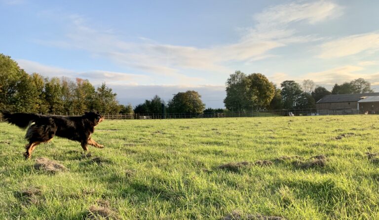 1754 61b58683ed80456259a535cbdde671ac 1 scaled 768x446