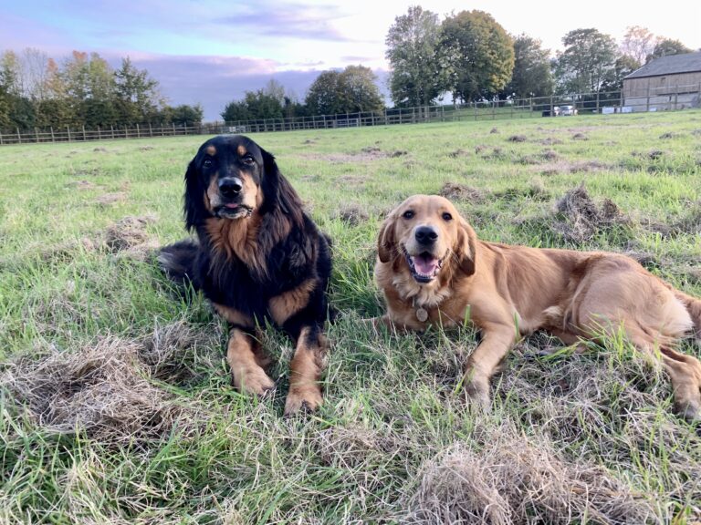 1754 6b7d9173020cf91fad8583df12c3af5d 1 768x576