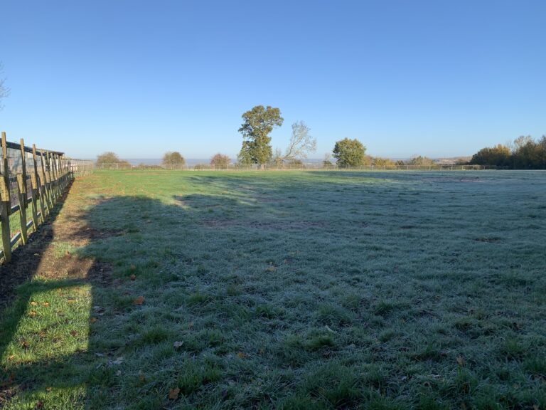 1754 9ecdf7997020595c7efd08d25c98f926 1 768x576