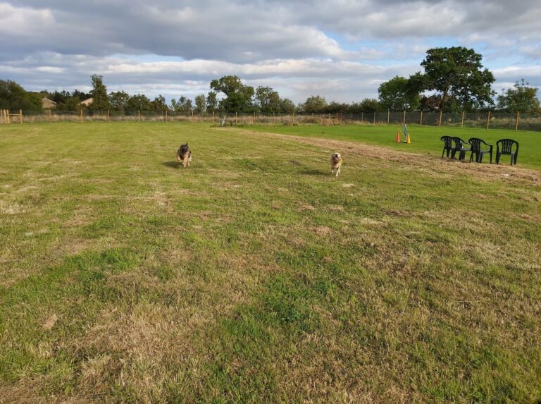 1755 5937a6aca592ecf3ea294a11b1cb827b 1 768x573