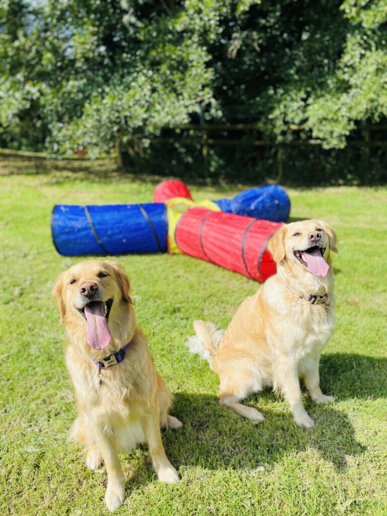 1758 0d759df221c10cf331b6bb31c7950702 1 768x1024