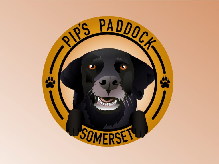 1758 6997d0da81b96d940a83991234ad67c0 1 768x576