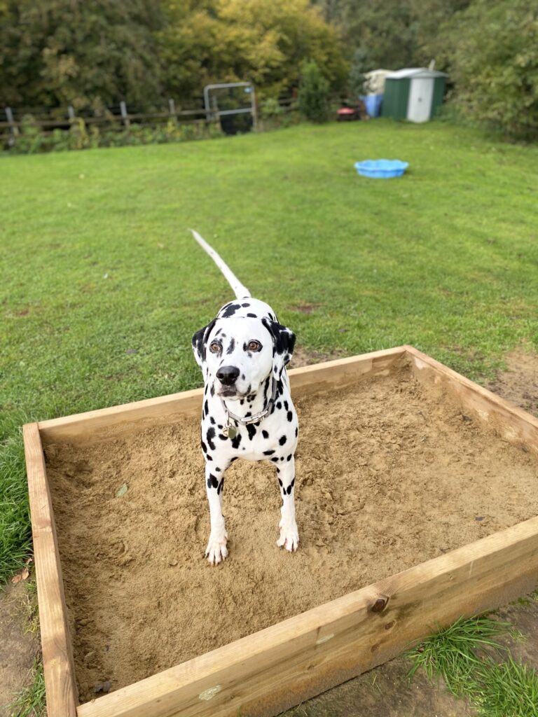 1758 85b88d0dd5a6e0c0f1e652d418459a15 1 768x1024