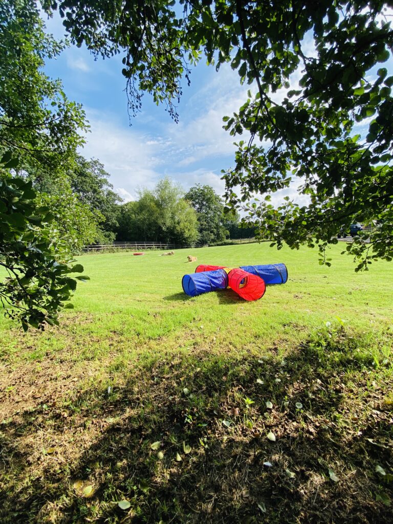 1758 921a43bbf45a5dfe1c2b2ac98be6bf5e 1 768x1024