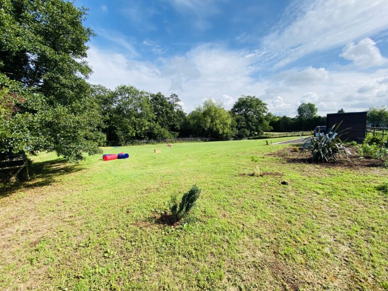 1758 a751d3727111086286e9d7e95d029adf 1 768x576